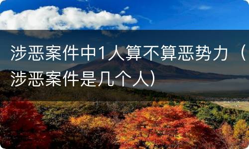 涉恶案件中1人算不算恶势力（涉恶案件是几个人）