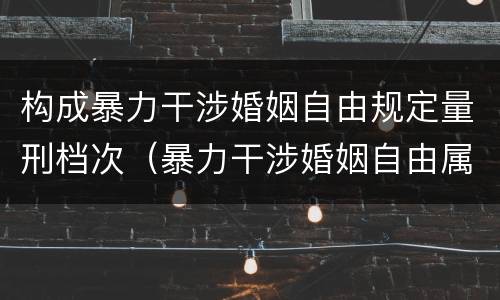 构成暴力干涉婚姻自由规定量刑档次（暴力干涉婚姻自由属于犯罪吗）
