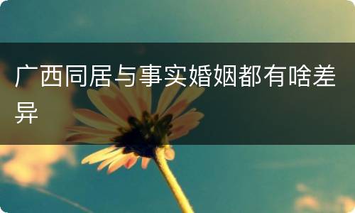 广西同居与事实婚姻都有啥差异