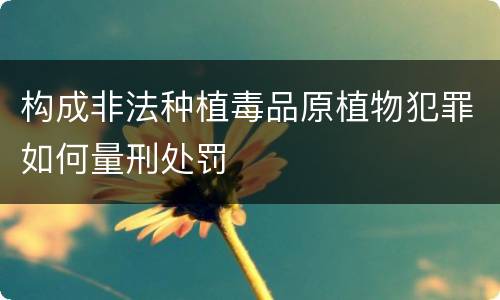 构成非法种植毒品原植物犯罪如何量刑处罚