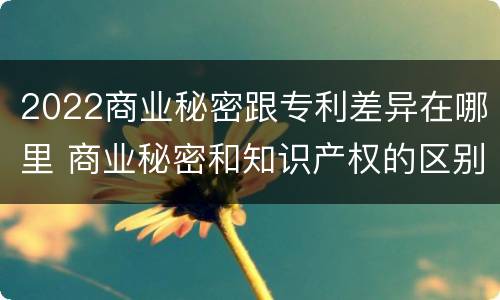 2022商业秘密跟专利差异在哪里 商业秘密和知识产权的区别