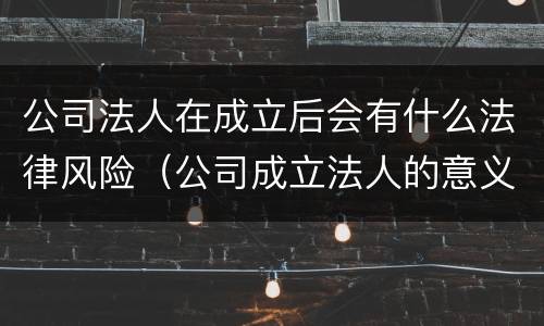 公司法人在成立后会有什么法律风险（公司成立法人的意义）