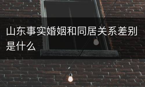 山东事实婚姻和同居关系差别是什么