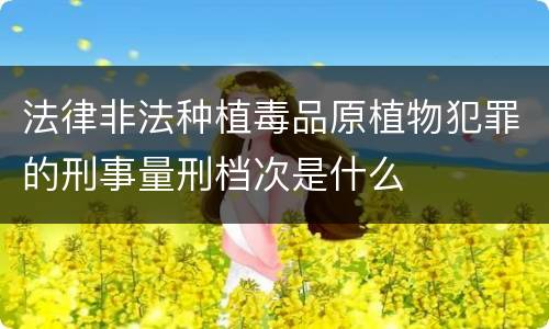 法律非法种植毒品原植物犯罪的刑事量刑档次是什么