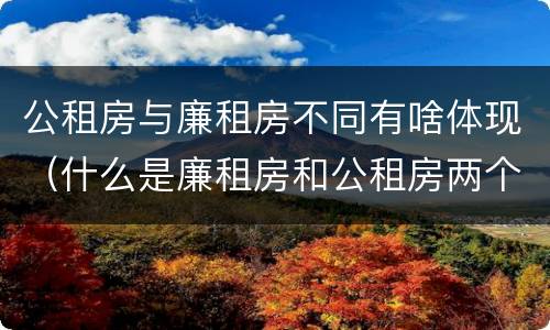 公租房与廉租房不同有啥体现（什么是廉租房和公租房两个有什么特点）