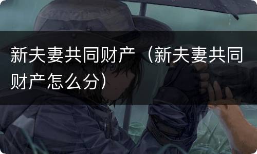 新夫妻共同财产（新夫妻共同财产怎么分）