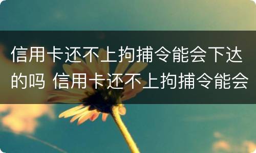 信用卡还不上拘捕令能会下达的吗 信用卡还不上拘捕令能会下达的吗怎么办