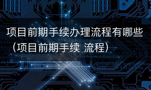 项目前期手续办理流程有哪些（项目前期手续 流程）