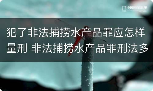 犯了非法捕捞水产品罪应怎样量刑 非法捕捞水产品罪刑法多少条