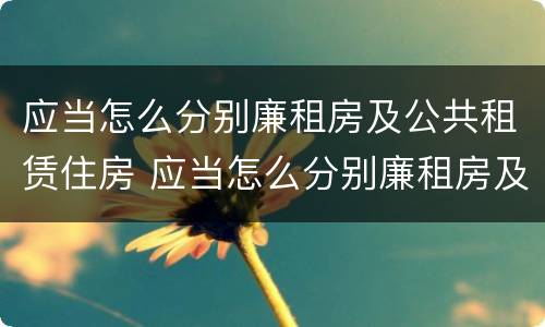 应当怎么分别廉租房及公共租赁住房 应当怎么分别廉租房及公共租赁住房