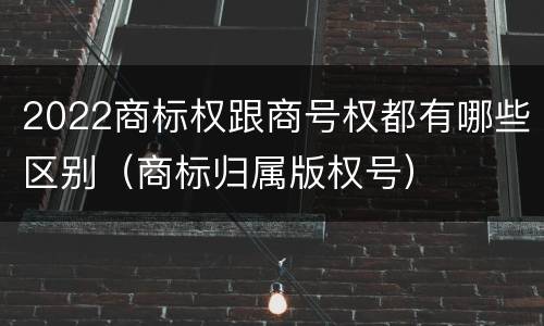 2022商标权跟商号权都有哪些区别（商标归属版权号）