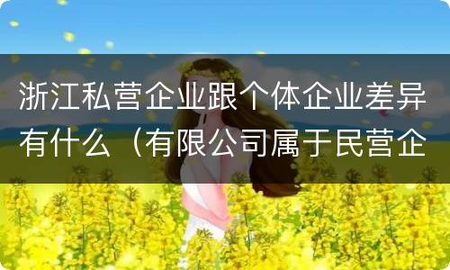 浙江私营企业跟个体企业差异有什么（有限公司属于民营企业还是私企还是个体）