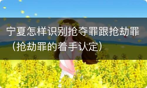 宁夏怎样识别抢夺罪跟抢劫罪（抢劫罪的着手认定）