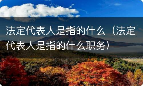 法定代表人是指的什么（法定代表人是指的什么职务）