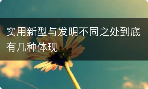 实用新型与发明不同之处到底有几种体现
