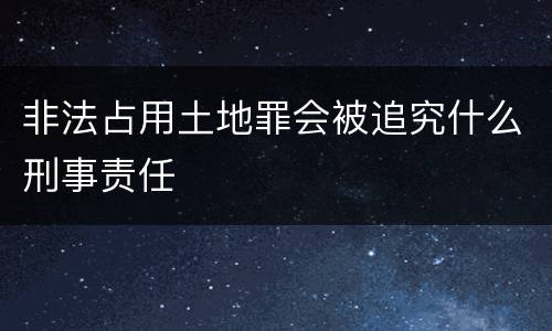 非法占用土地罪会被追究什么刑事责任