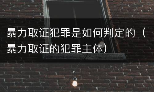 暴力取证犯罪是如何判定的（暴力取证的犯罪主体）
