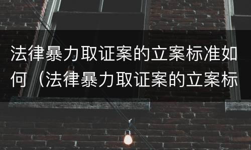 法律暴力取证案的立案标准如何（法律暴力取证案的立案标准如何写）