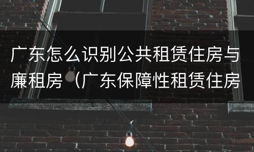 广东怎么识别公共租赁住房与廉租房（广东保障性租赁住房）