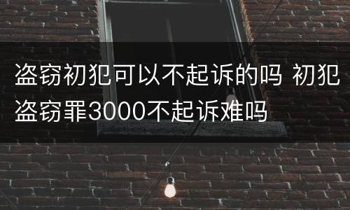 盗窃初犯可以不起诉的吗 初犯盗窃罪3000不起诉难吗