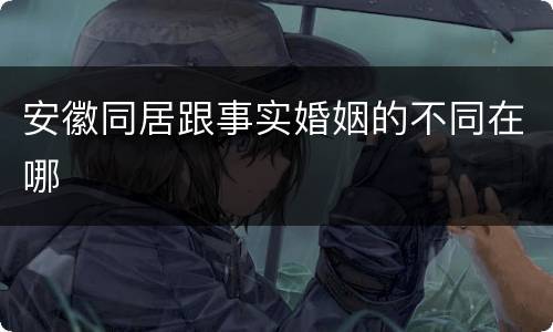 安徽同居跟事实婚姻的不同在哪