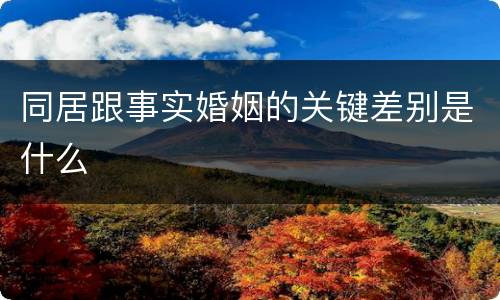 同居跟事实婚姻的关键差别是什么