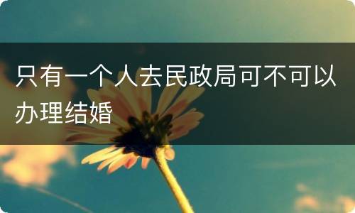 只有一个人去民政局可不可以办理结婚
