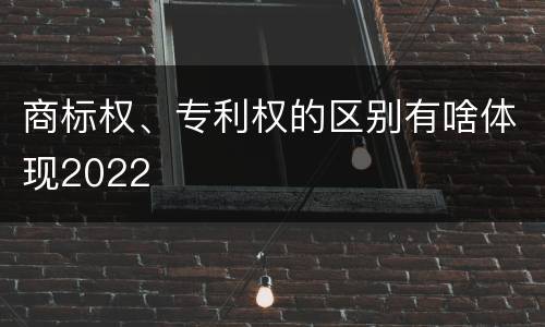 商标权、专利权的区别有啥体现2022