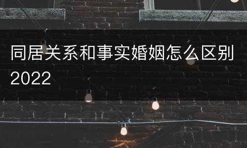 同居关系和事实婚姻怎么区别2022