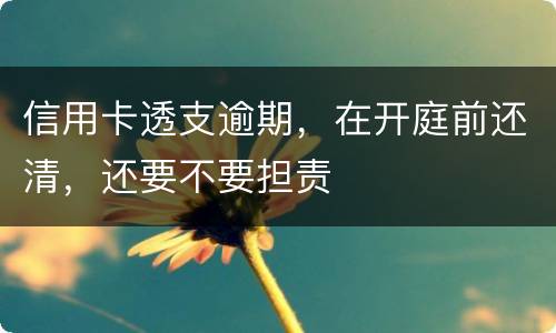 信用卡透支逾期，在开庭前还清，还要不要担责