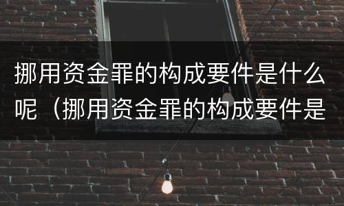 挪用资金罪的构成要件是什么呢（挪用资金罪的构成要件是什么呢）