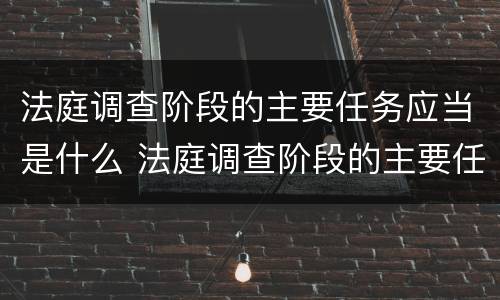 法庭调查阶段的主要任务应当是什么 法庭调查阶段的主要任务应当是什么意思