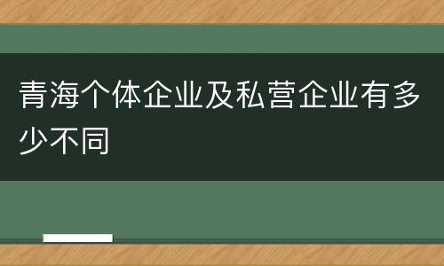 青海个体企业及私营企业有多少不同