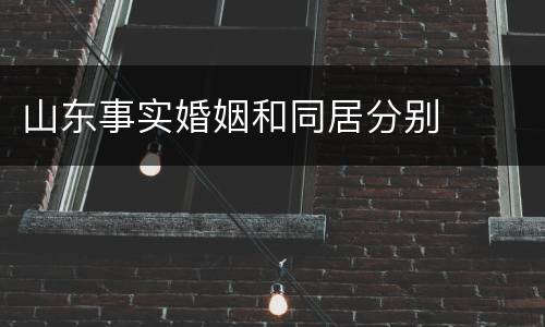 山东事实婚姻和同居分别