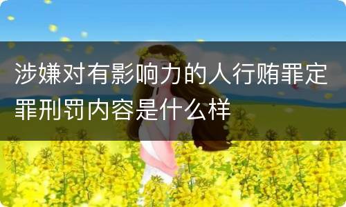 涉嫌对有影响力的人行贿罪定罪刑罚内容是什么样