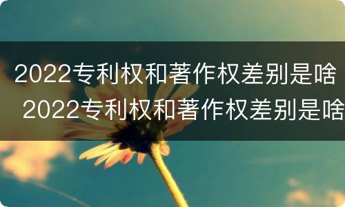 2022专利权和著作权差别是啥 2022专利权和著作权差别是啥呀
