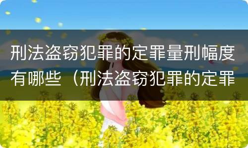 刑法盗窃犯罪的定罪量刑幅度有哪些（刑法盗窃犯罪的定罪量刑幅度有哪些标准）