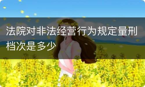 法院对非法经营行为规定量刑档次是多少
