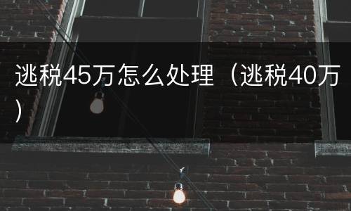 逃税45万怎么处理（逃税40万）