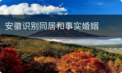 安徽识别同居和事实婚姻