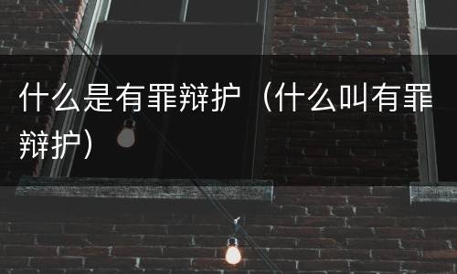 什么是有罪辩护（什么叫有罪辩护）