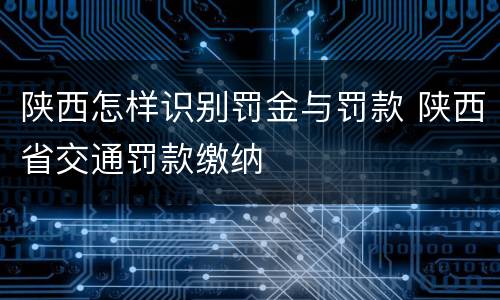 陕西怎样识别罚金与罚款 陕西省交通罚款缴纳