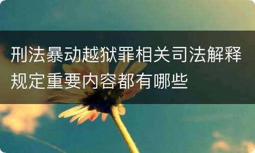 刑法暴动越狱罪相关司法解释规定重要内容都有哪些