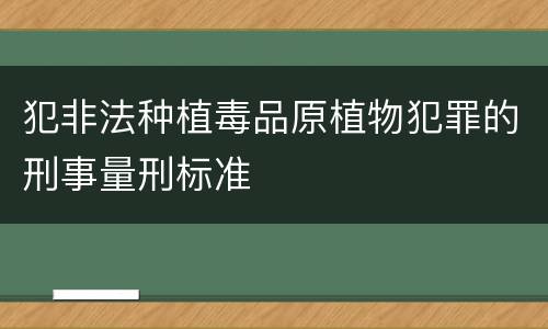 犯非法种植毒品原植物犯罪的刑事量刑标准