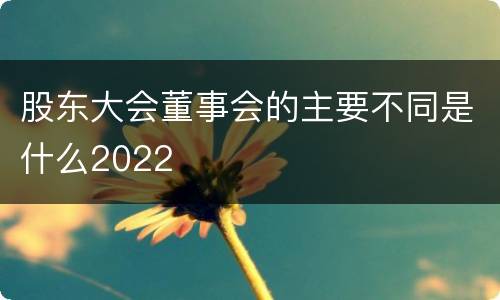 股东大会董事会的主要不同是什么2022