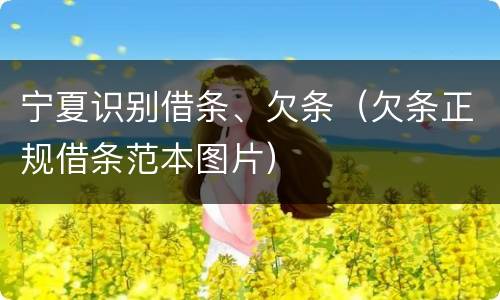 宁夏识别借条、欠条（欠条正规借条范本图片）