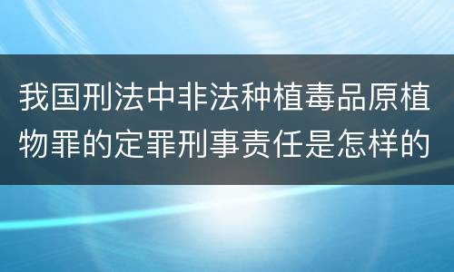 我国刑法中非法种植毒品原植物罪的定罪刑事责任是怎样的