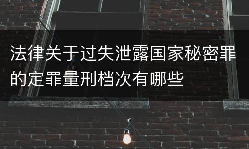 法律关于过失泄露国家秘密罪的定罪量刑档次有哪些