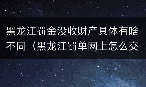 黑龙江罚金没收财产具体有啥不同（黑龙江罚单网上怎么交）