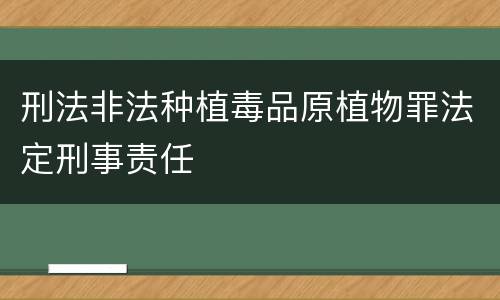 刑法非法种植毒品原植物罪法定刑事责任
